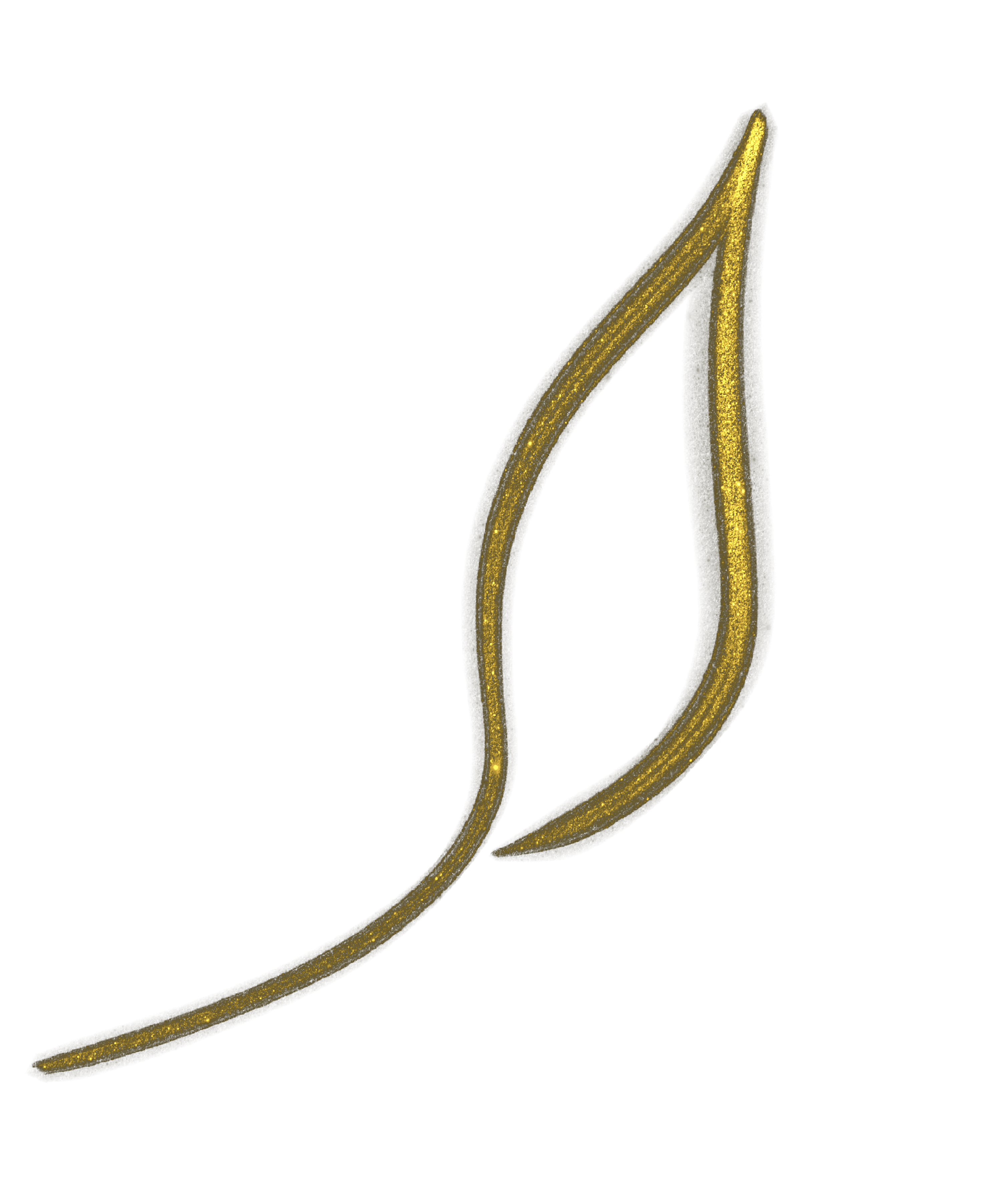 AashimaDesigns